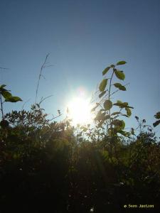 Stammes-Herbstlager