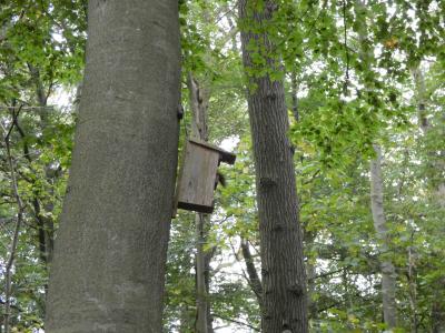 Stammes-Herbstlager