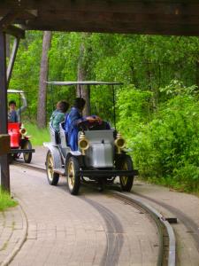 Sippenausflug Kluger Löwe