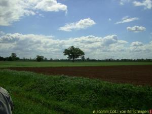 Sippenfahrt Kluger Löwe Fahrradtour