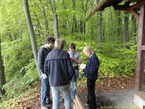 Jagender Jaguar Wandern im Weserbergland