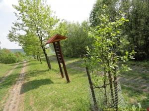 Jagender Jaguar Wandern im Weserbergland