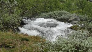 Norwegen 2013 Stammesgroßfahrt