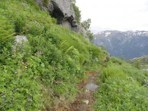 Norwegen 2013 Stammesgroßfahrt